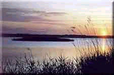 20060809131406-laguna02.jpg