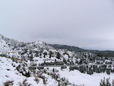 20081227215629-1.jpg