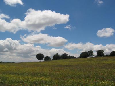 20130531111404-monegros.jpg
