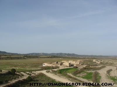 20141111182328-penalbeta.jpg